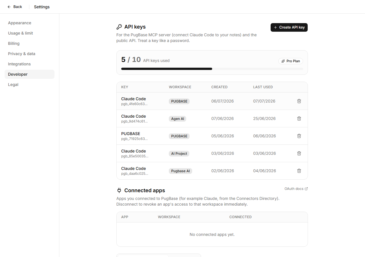 Creating a workspace-scoped API key in Settings, Developer
